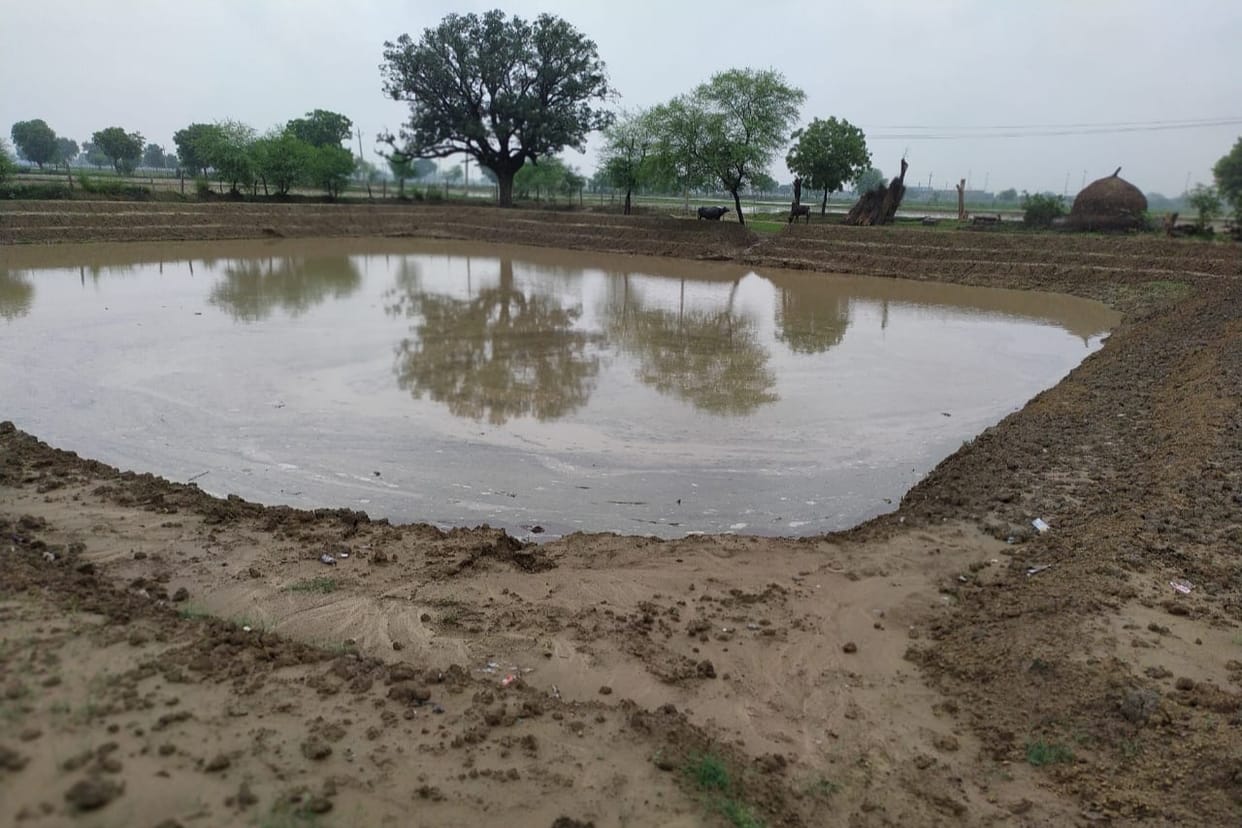 98.28 crore liters of water will be collected in 702 ponds