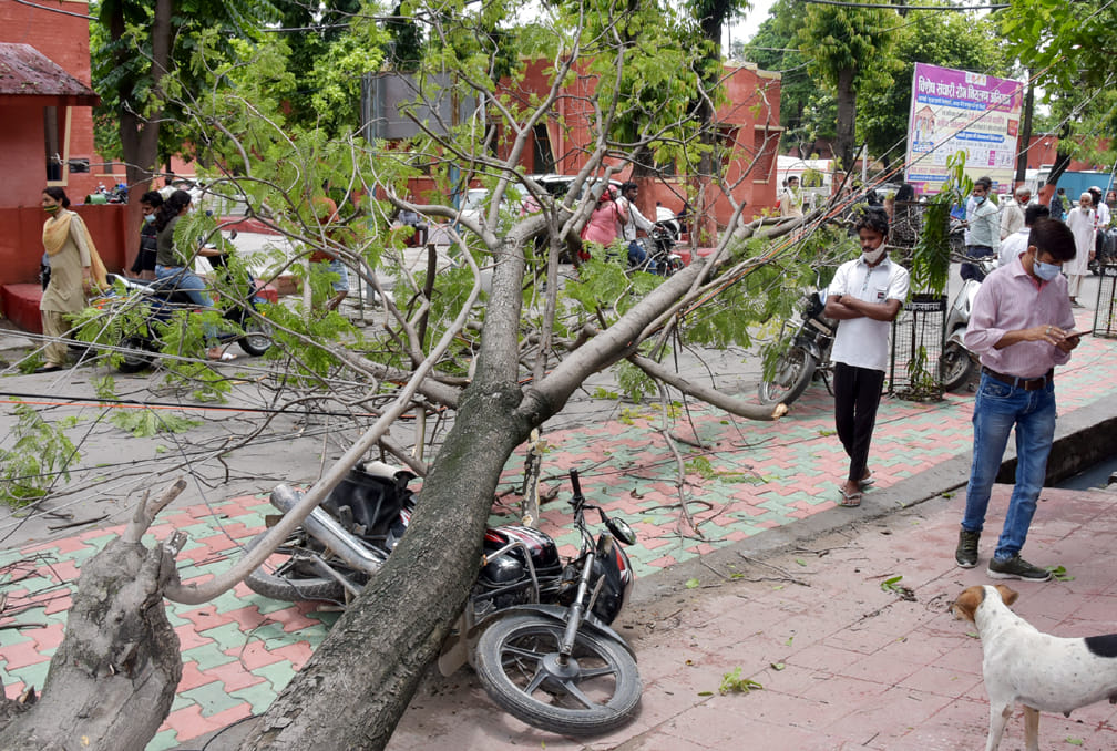 Woman injured after being hit by fallen tree in hospital