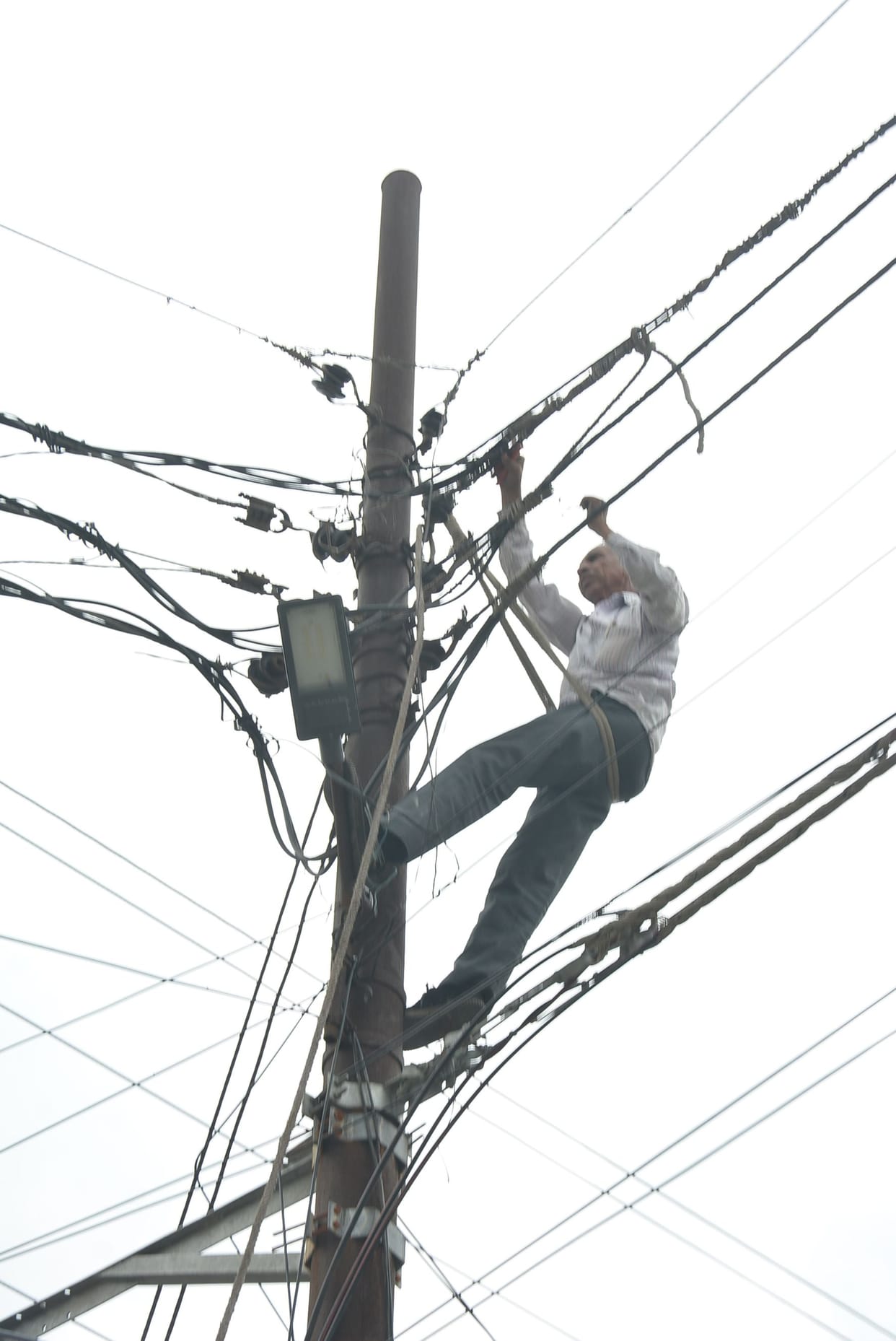 Tree fell on high tension line on circular road, interrupted electricity and water