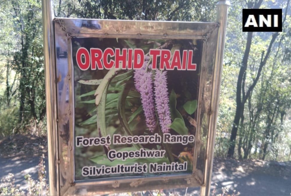 Uttarakhand News: North India first orchid park Ready in Chamoli District photos