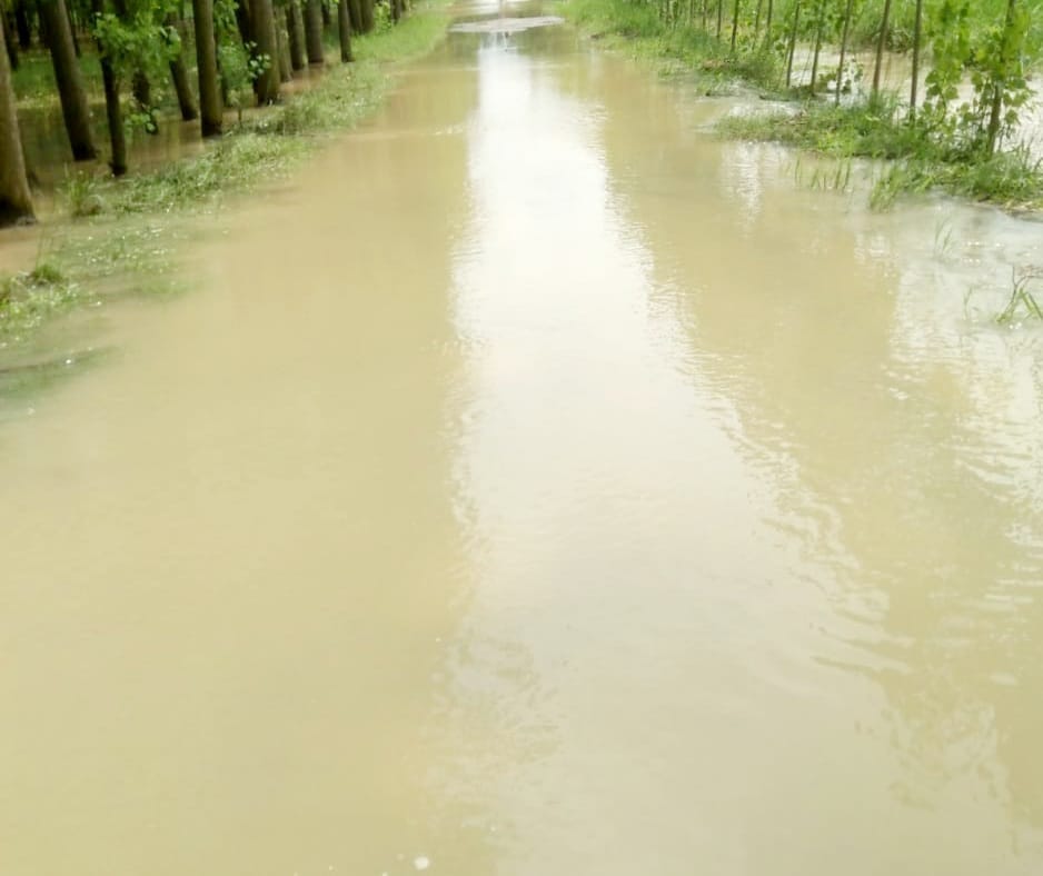 93299 cusec water released in Yamuna river