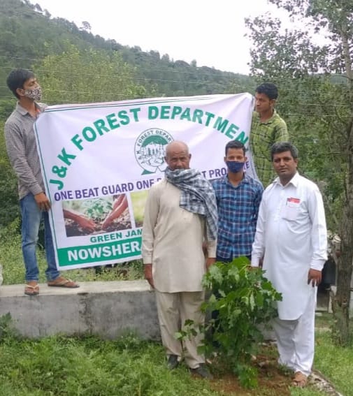Plantation drive