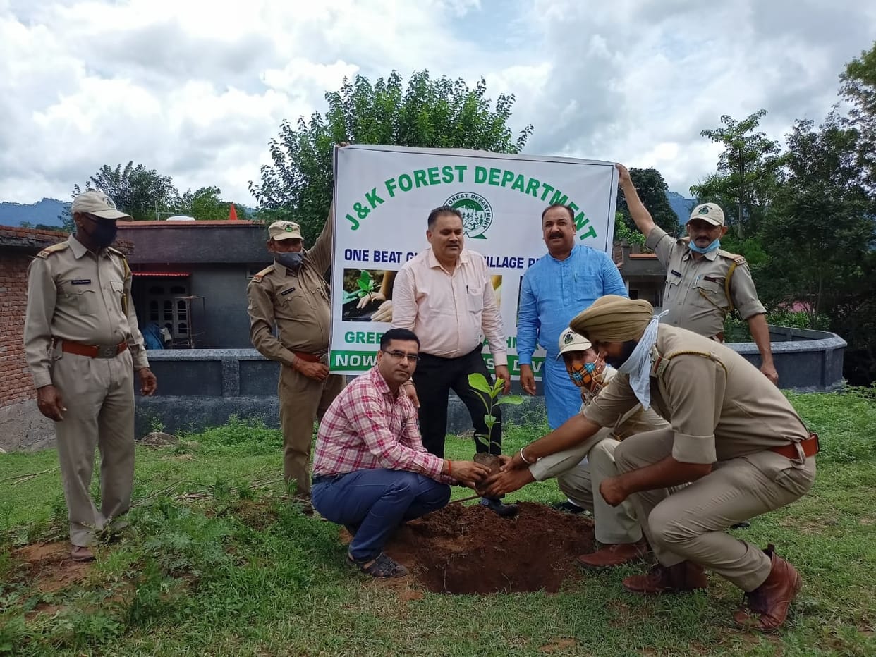Plantation drive