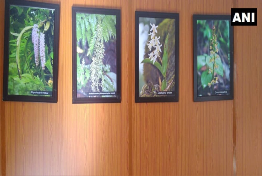 Uttarakhand News: North India first orchid park Ready in Chamoli District photos