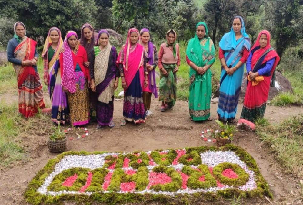 Uttarakhand News: North India first orchid park Ready in Chamoli District photos