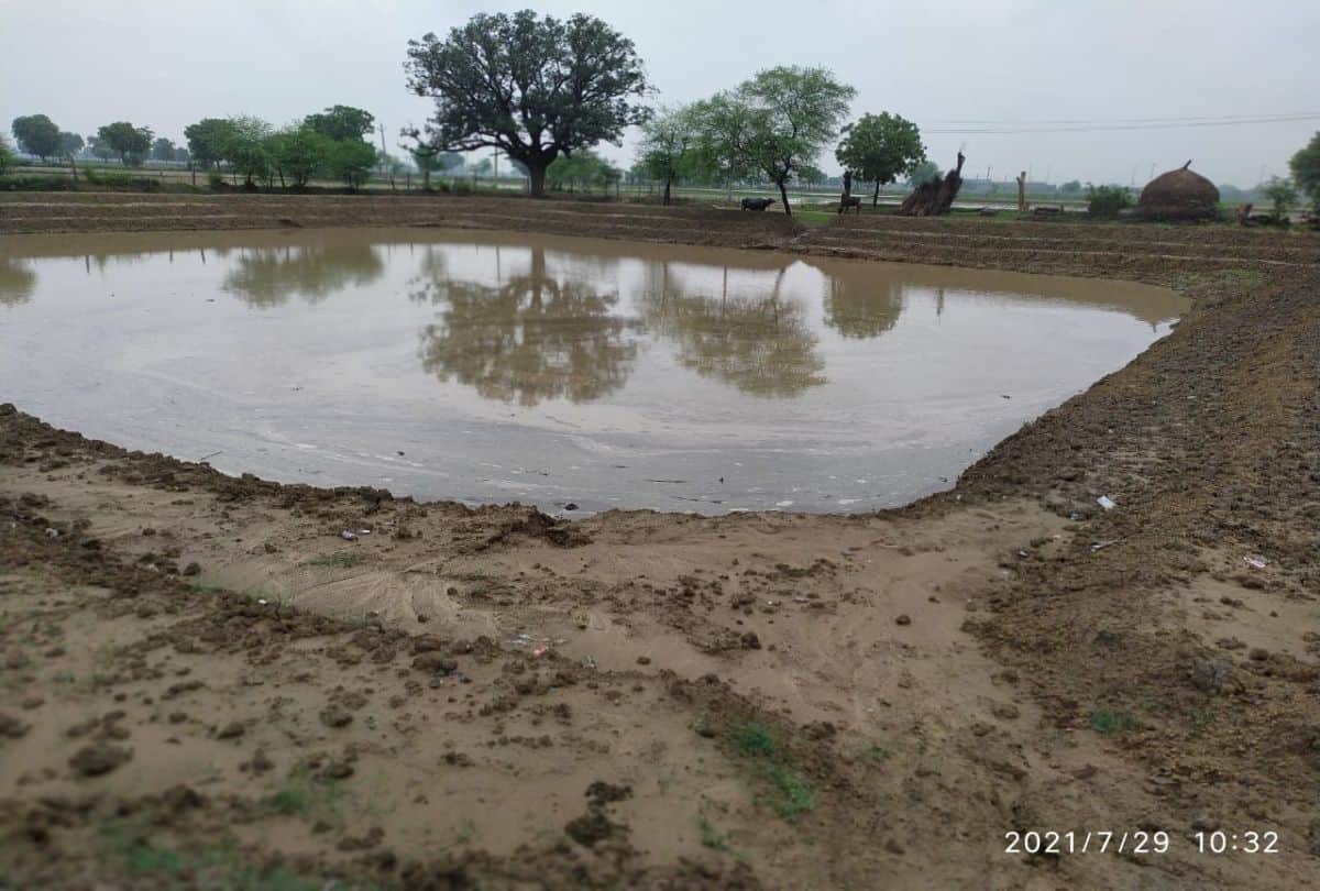 As soon as lack of oxygen in pond it will start raining