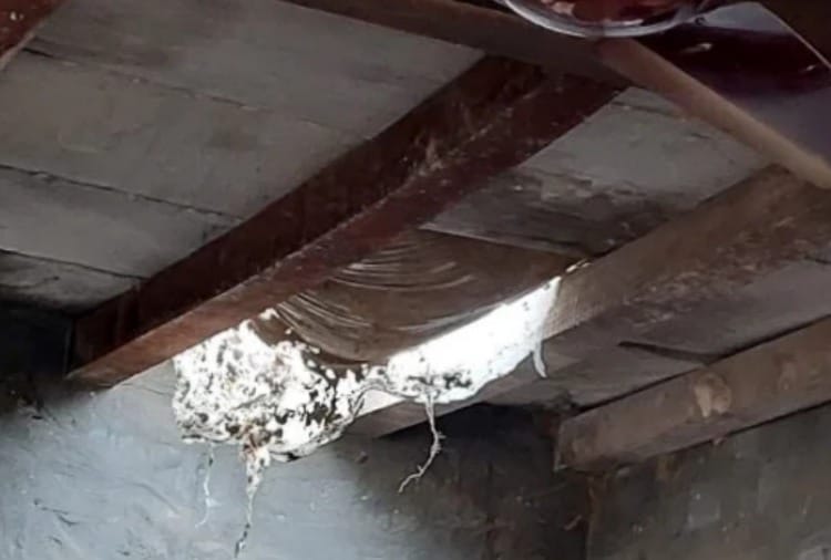 The miscreants uprooted the roof and killed the salesman for not opening the door of the liquor contract
