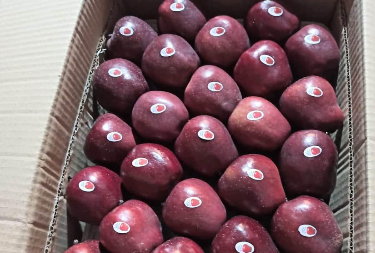 How To Store Apple At Home Best Ways To Store Apples For long time Without Refrigerator In Hindi