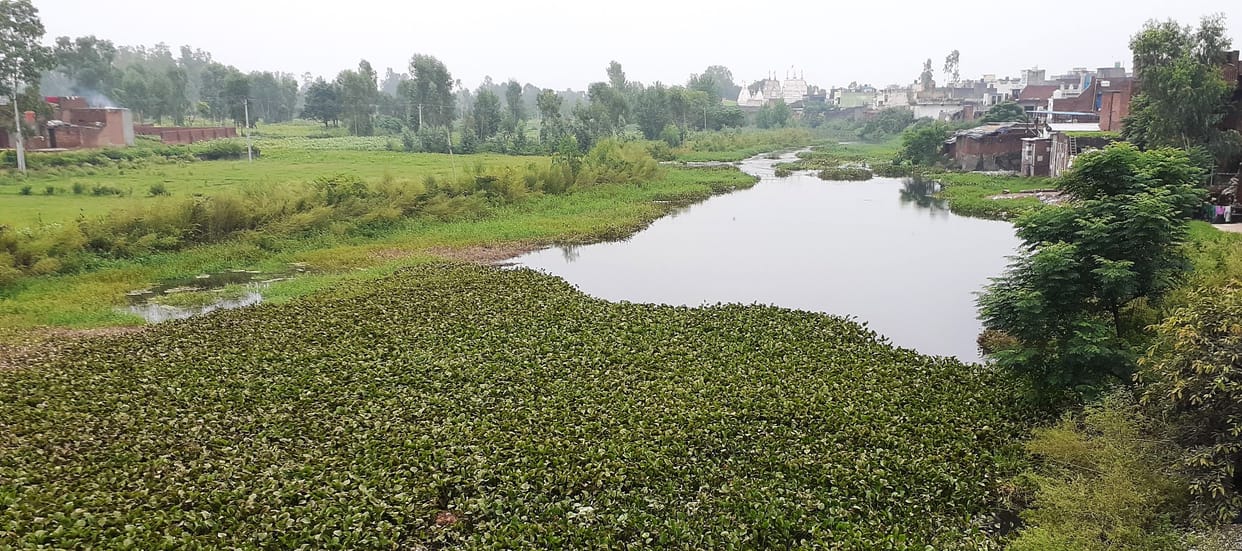 Hindon becomes dirty due to contaminated water of industrial units