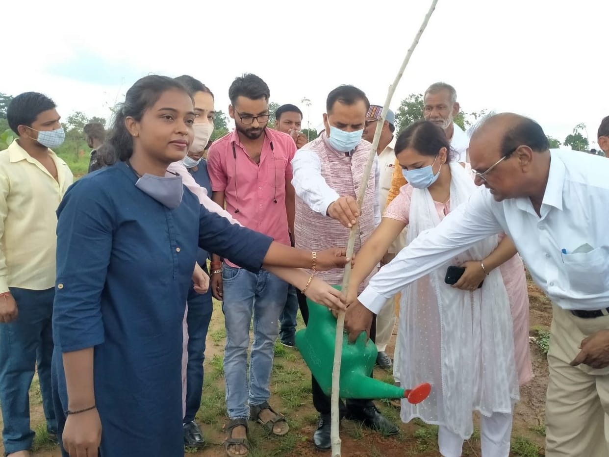 Planted fruit, shady and medicinal plants in Narad Vatika