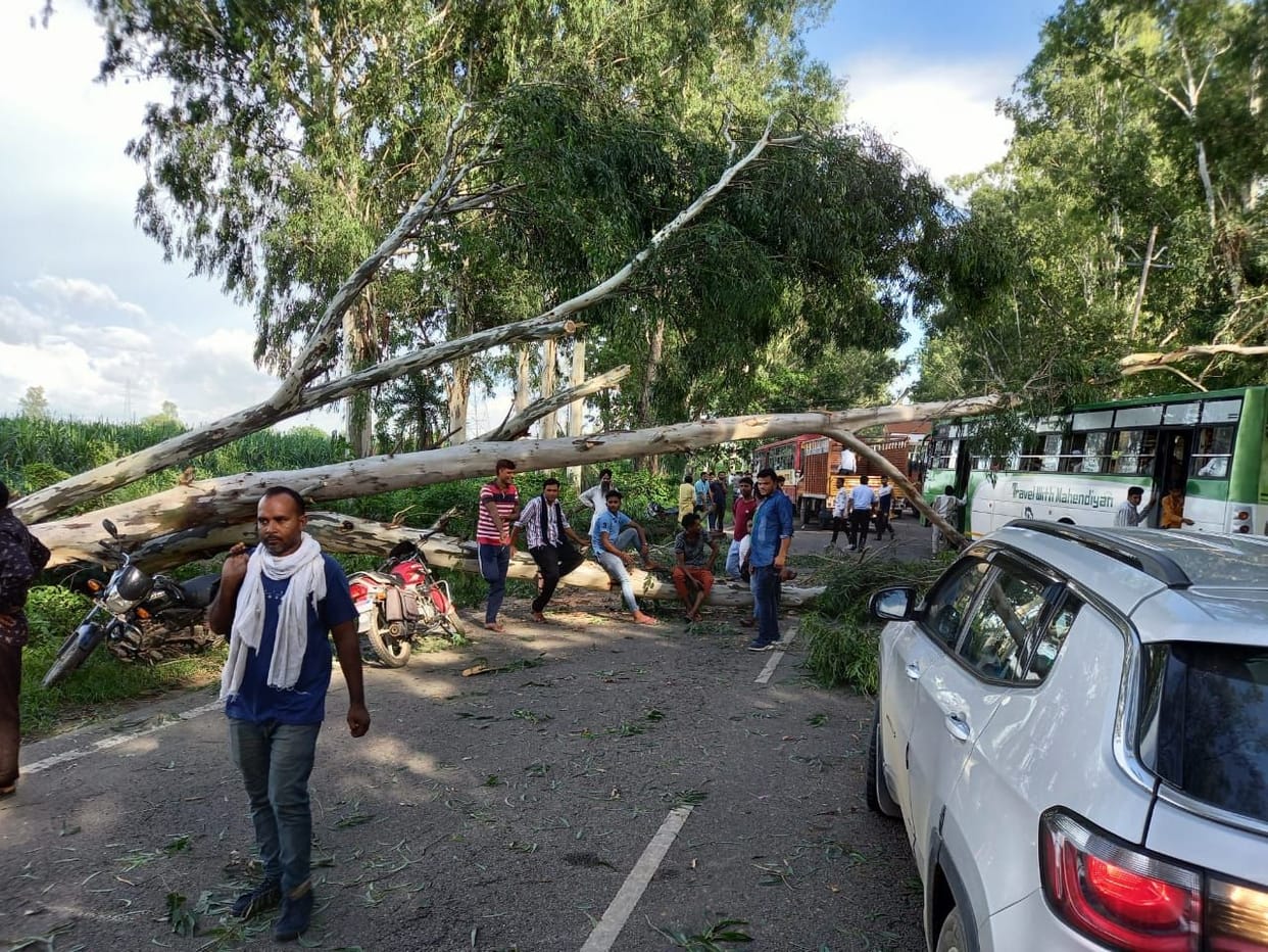 Delhi-Pauri highway jammed due to tree breaking