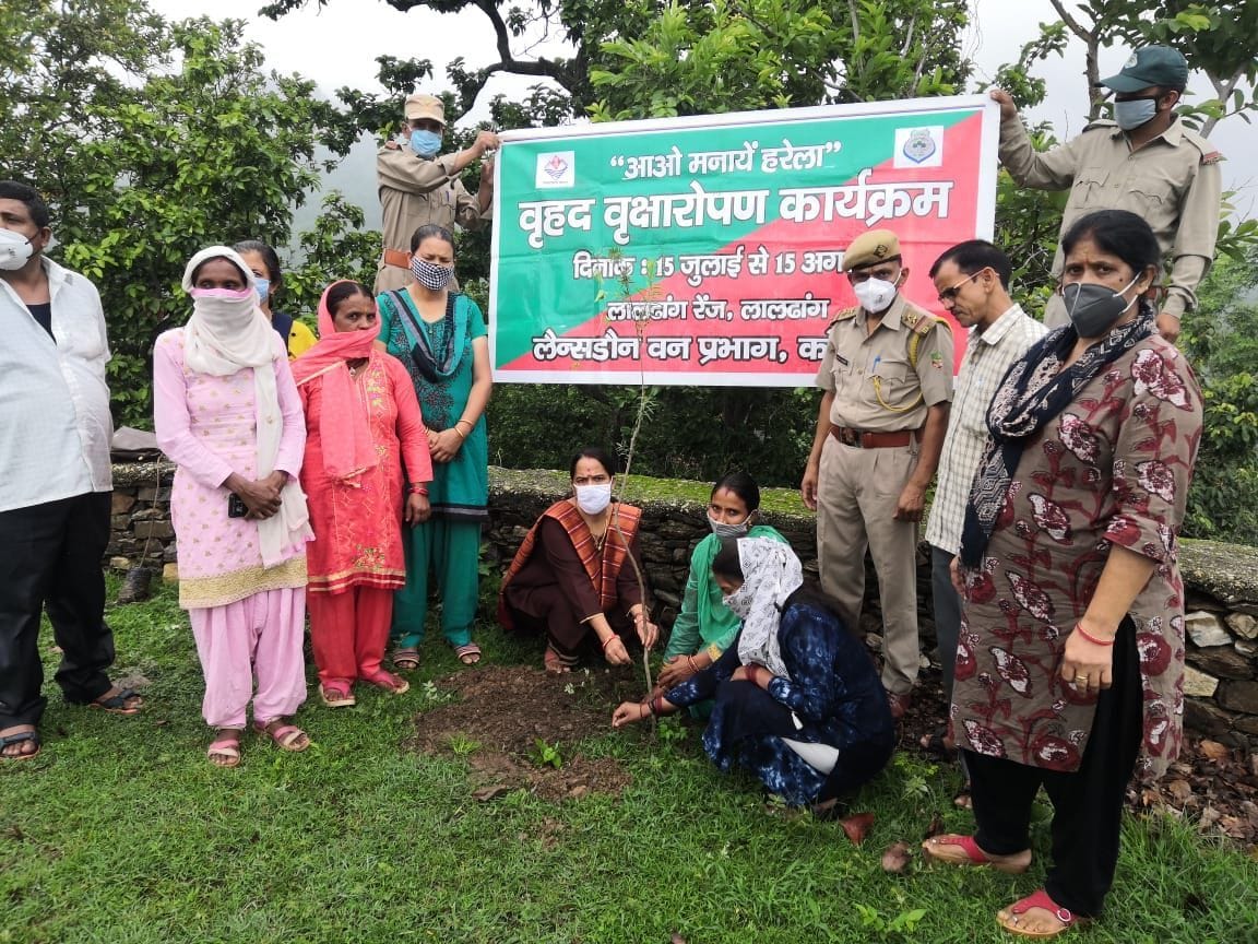 Plants planted in Diuli, Juledi and Umda