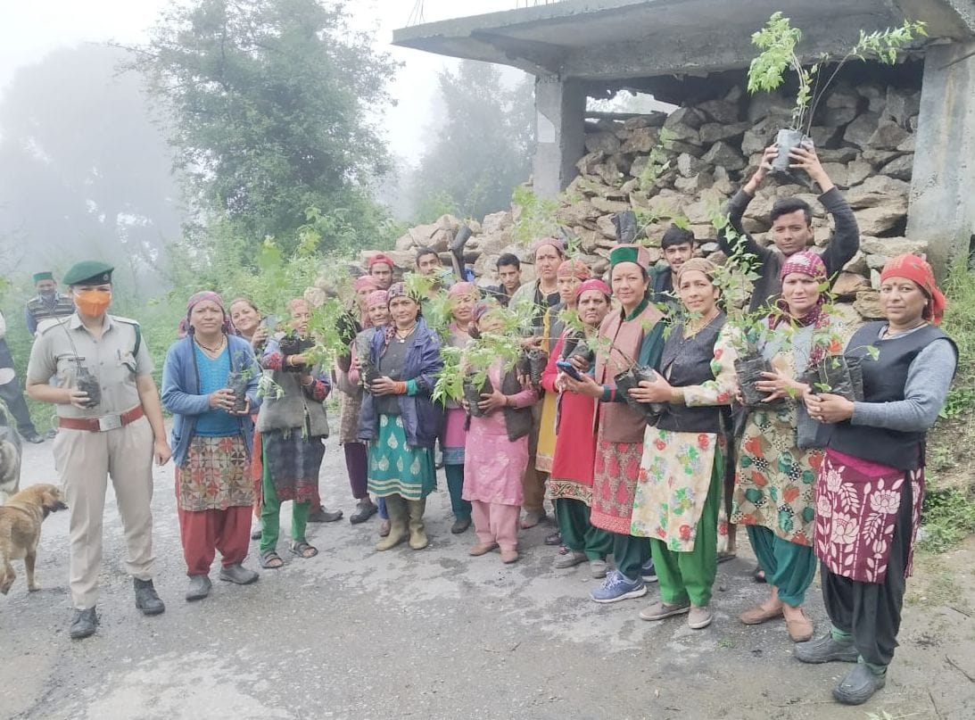 plantation drive done in siswaseri labana sadana rampur jieury