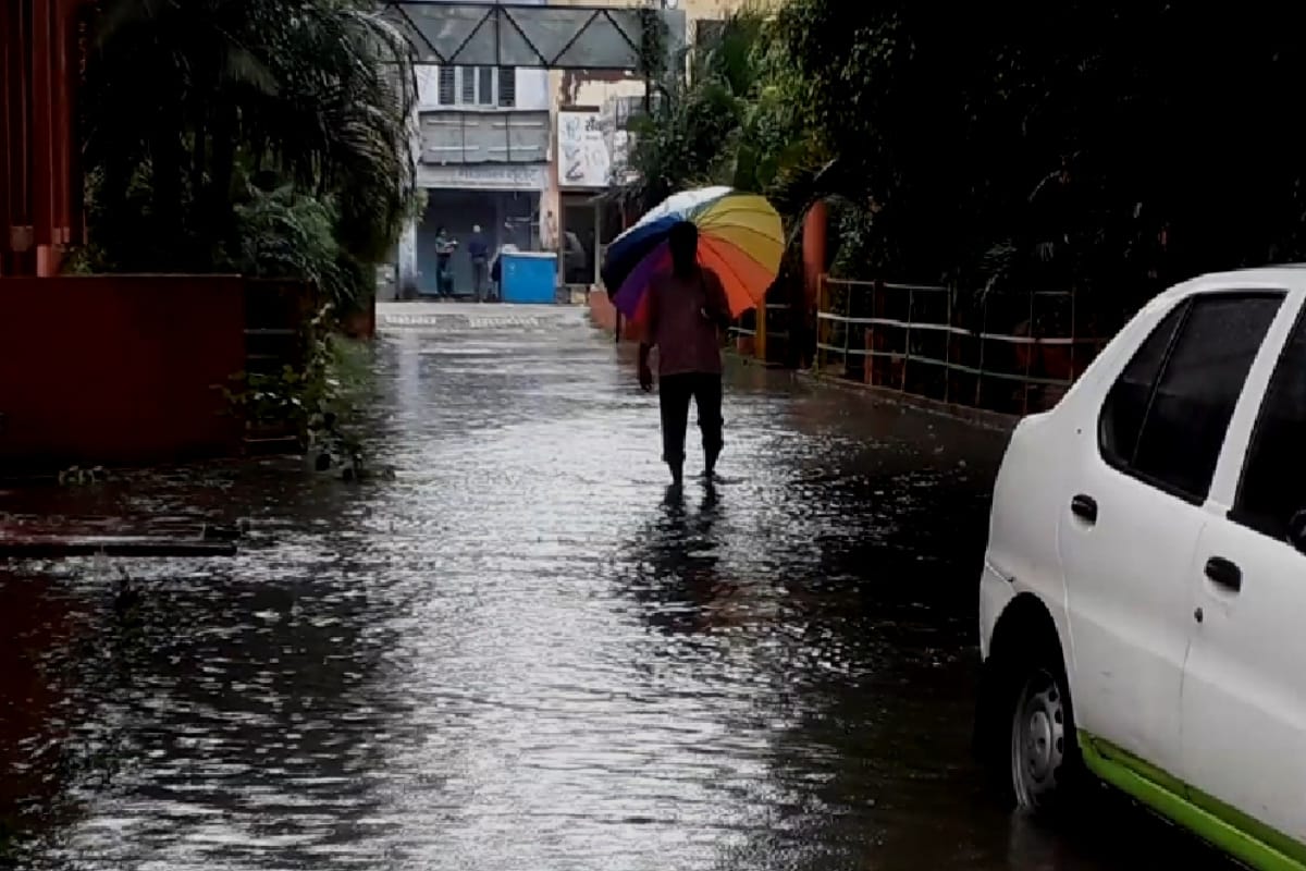 Rain photography : beautiful pictures of rainy season will make you excited for photography