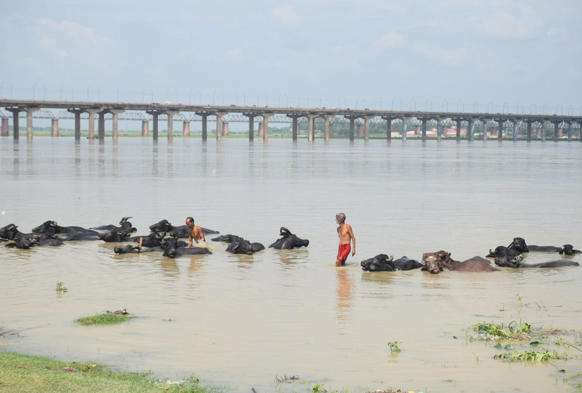 Administration alert in view of the danger of flood in prayagraj