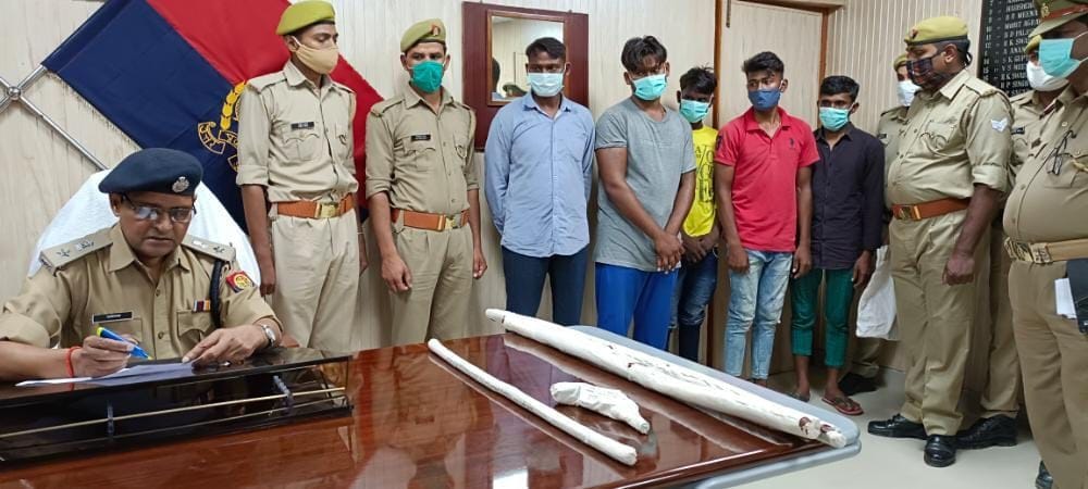 The gardener was killed in a dispute over picking a mango