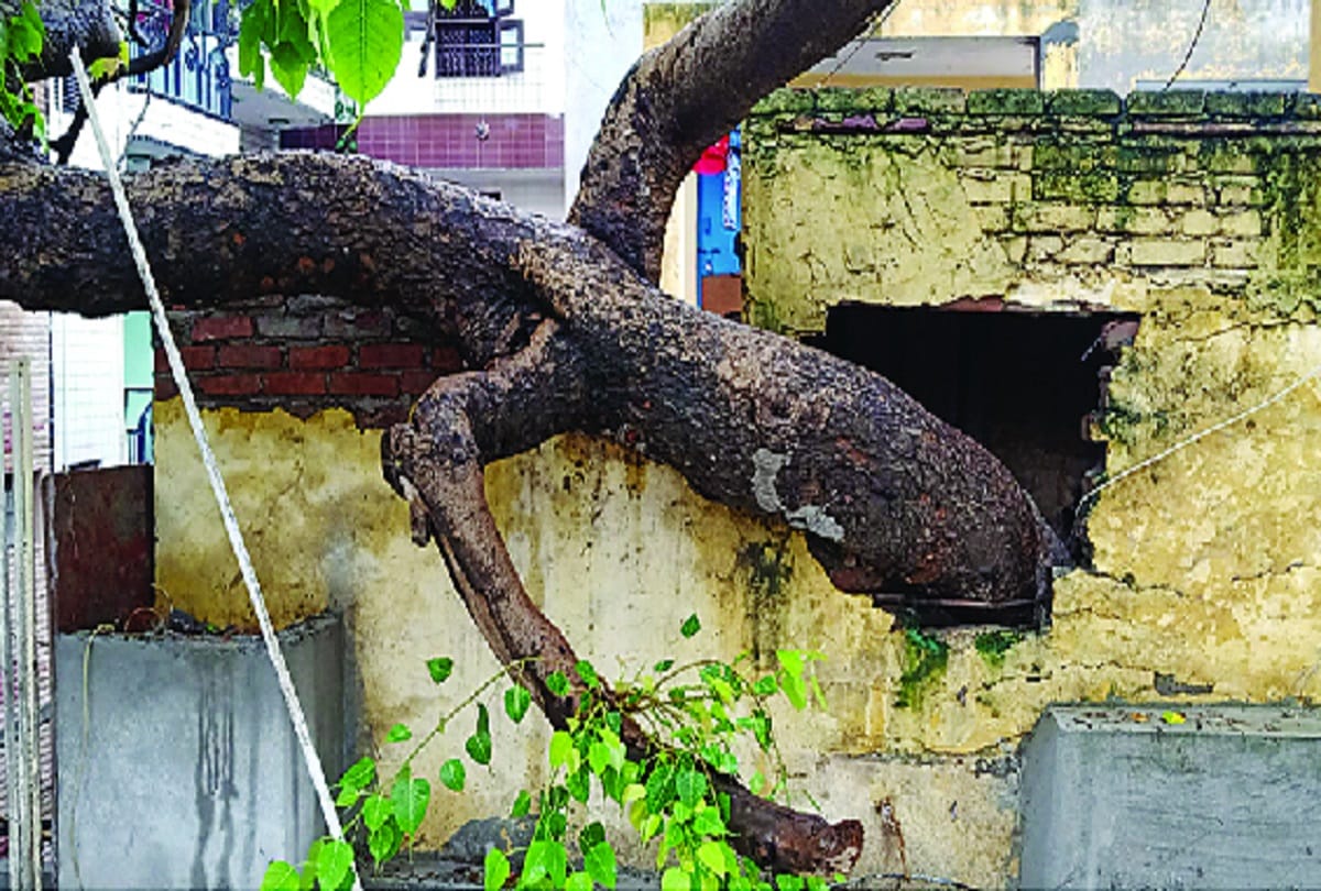 delhi news : story of mandawali fazalpur village of east delhi