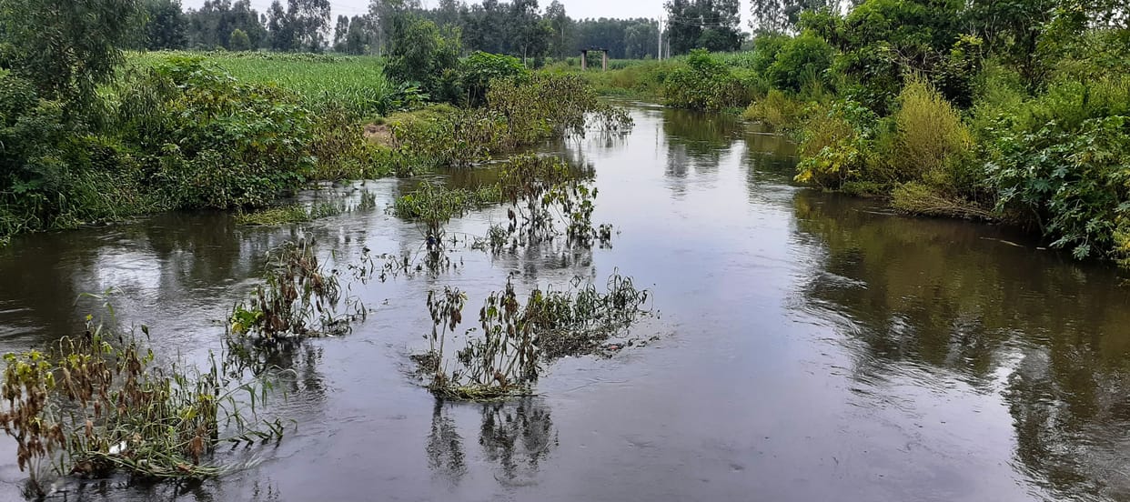 The smell of water of Hindon spreads far and wide when the wind blows at night.