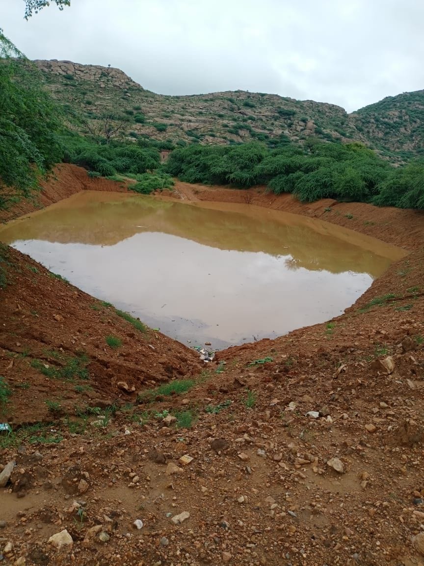 Water in the dams
