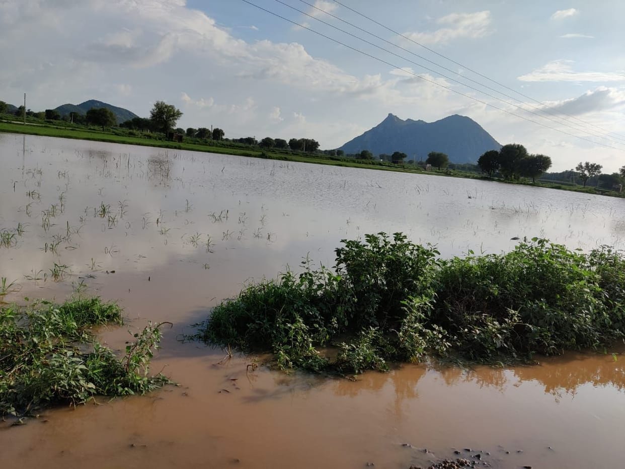 Water from Rajasthan created havoc