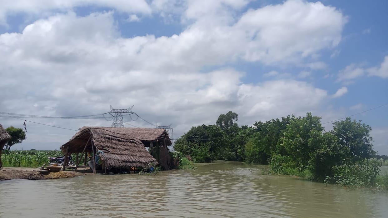Green fodder crisis in the coastal villages of Saryu