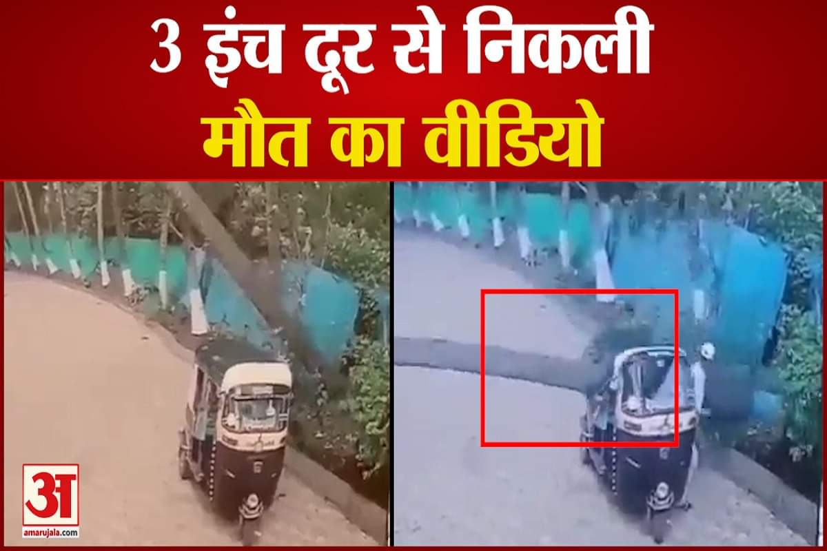 नारियल का पेड़ गिरने से 2 हिस्सों में बंट गया ऑटो