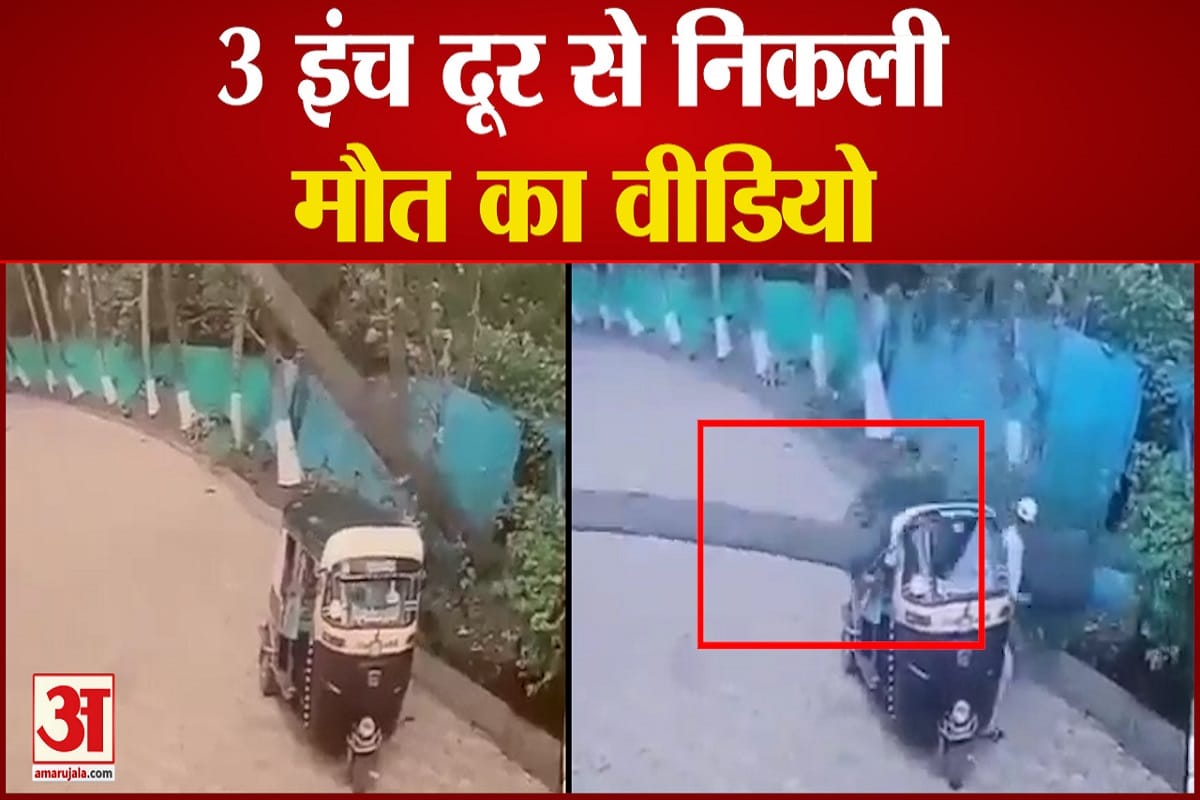 नारियल का पेड़ गिरने से 2 हिस्सों में बंट गया ऑटो