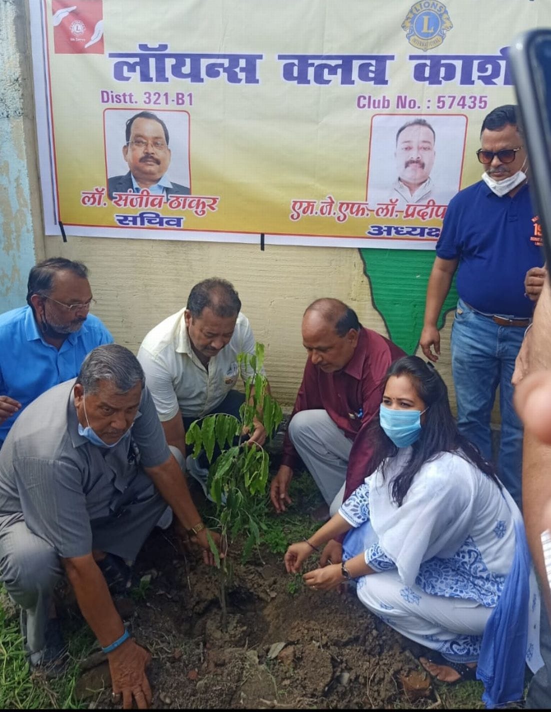 Sapling plantation