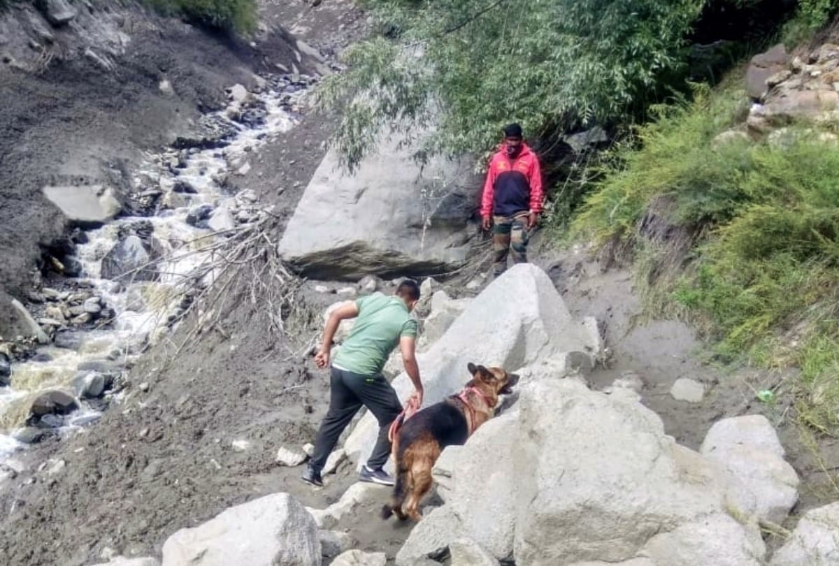lahaul flash flood: dead body of BRO JE swept away in Tozing Nullah recovered after nine days