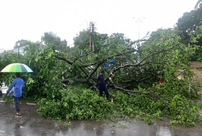 105 mm of rain in Prayagraj, more than a dozen trees fell down the storm