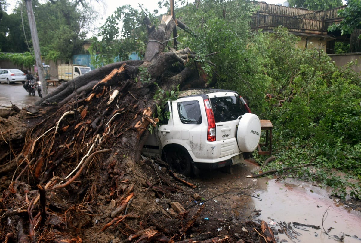105 mm of rain in Prayagraj, more than a dozen trees fell down the storm