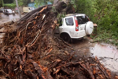 105 mm of rain in Prayagraj, more than a dozen trees fell down the storm
