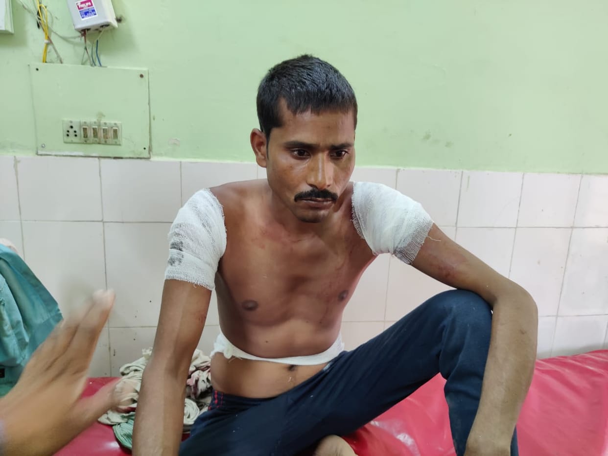 tigers attck on labour in dudhwa