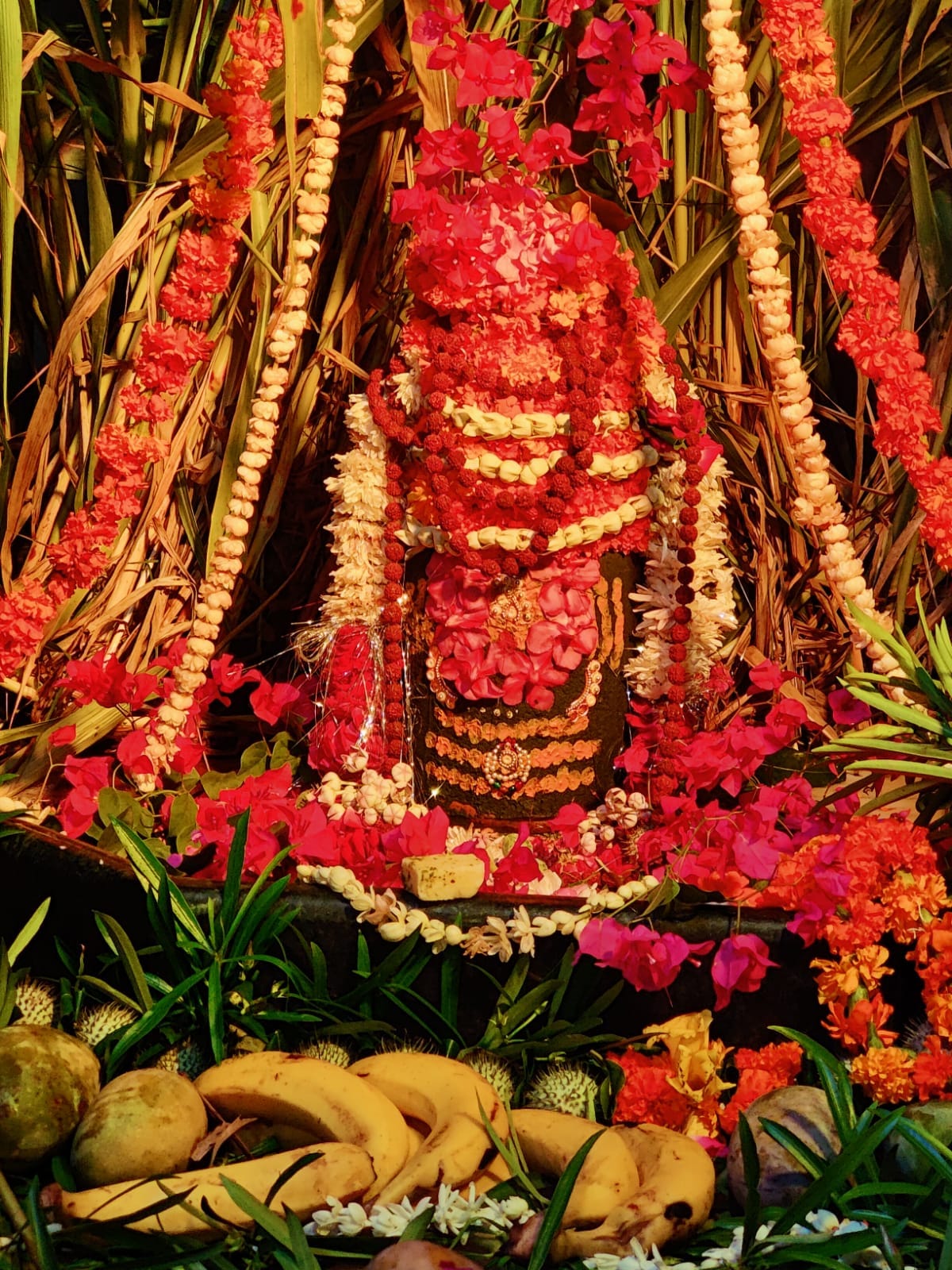 The city of Kanhaiya became Shivamay on the second Monday of Sawan