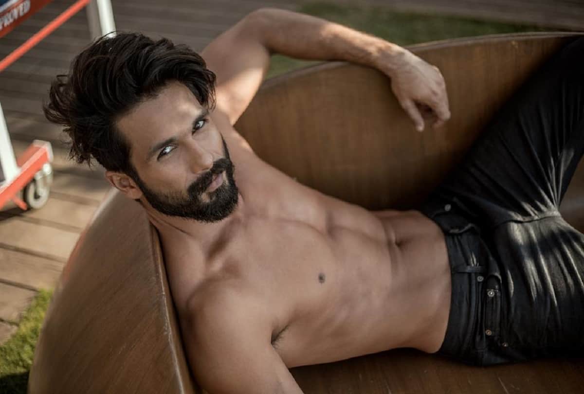 Shahid Kapoor with Ali Abbas Zafar on thriller will begin shoot after Raj & DK web series