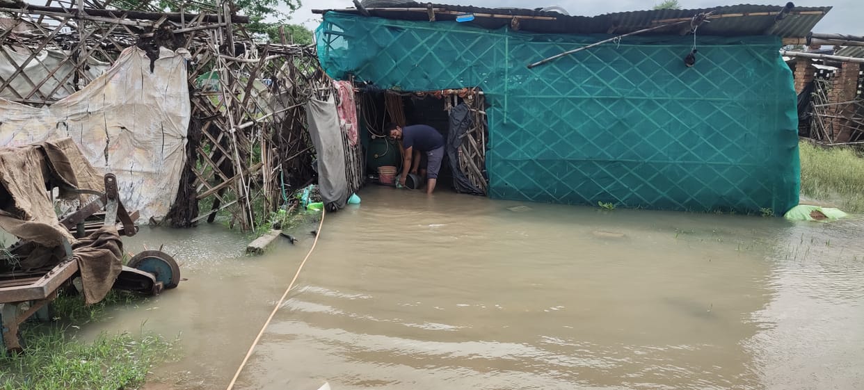 Electricity poles and trees collapsed due to storm water, many roads disrupted, traffic affected
