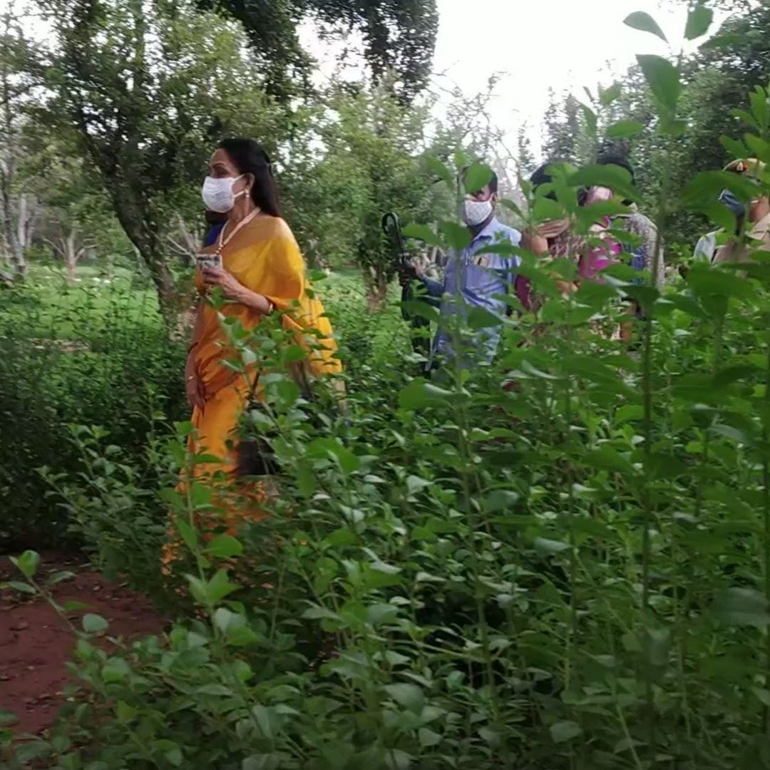 Mathura: Hema Malini inspects Jawahar Bagh