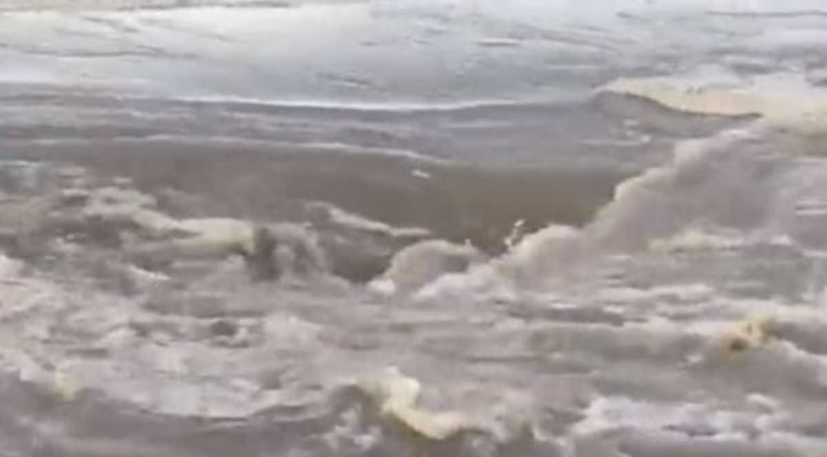 BHU professor shared video deadly vortex being created by ganga reverse flow in varanasi