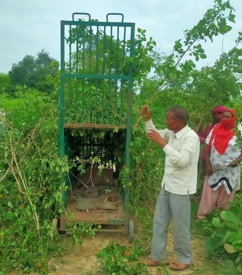 hardoi,wild animal,tendua,hardoi news