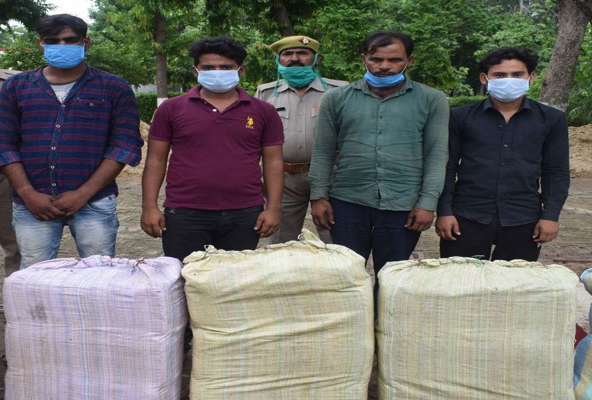 Mainpuri Police Arrests Four Hemp Smuggler Connected With Naxalites Search