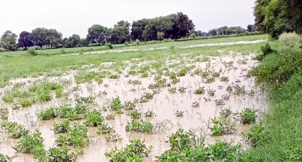 agriculter,civic,hamirpur