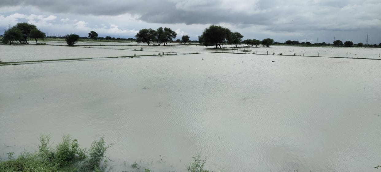 Water filling in the fields due to non-construction of culvert in highway construction
