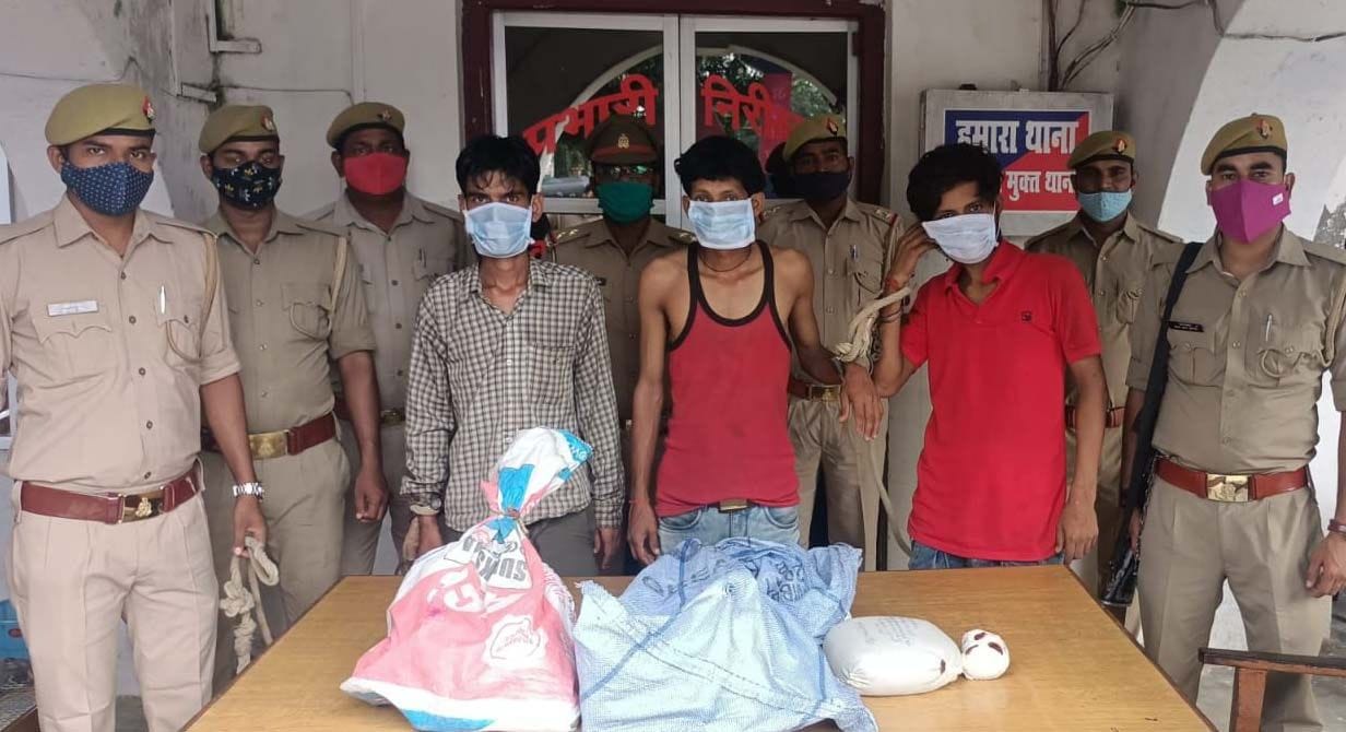 Tool thief arrested with ganja