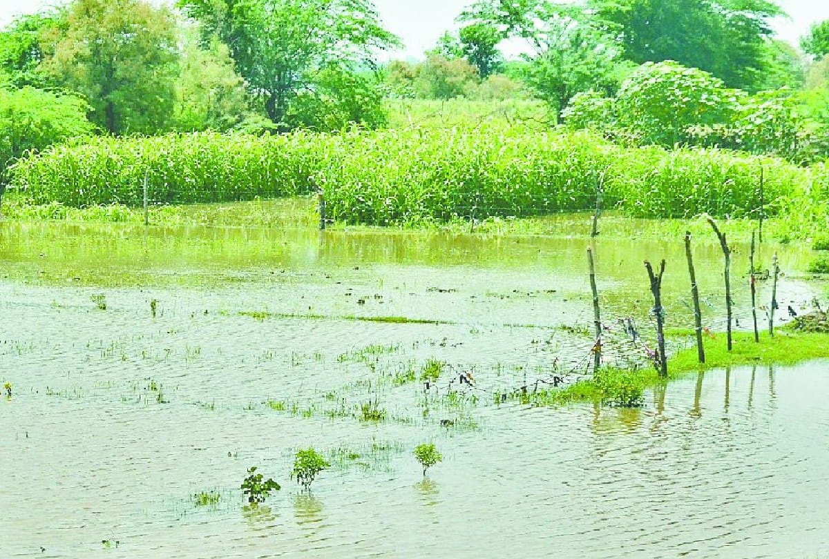 circle rate in lakhimpur kheri
