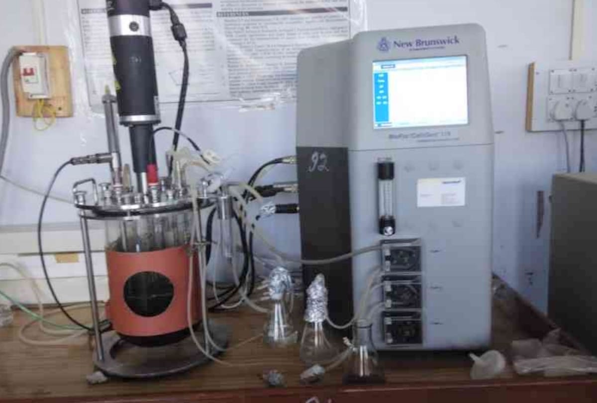 nauni university solan: fuel exrtracted from pine tree leaf used in vehicles