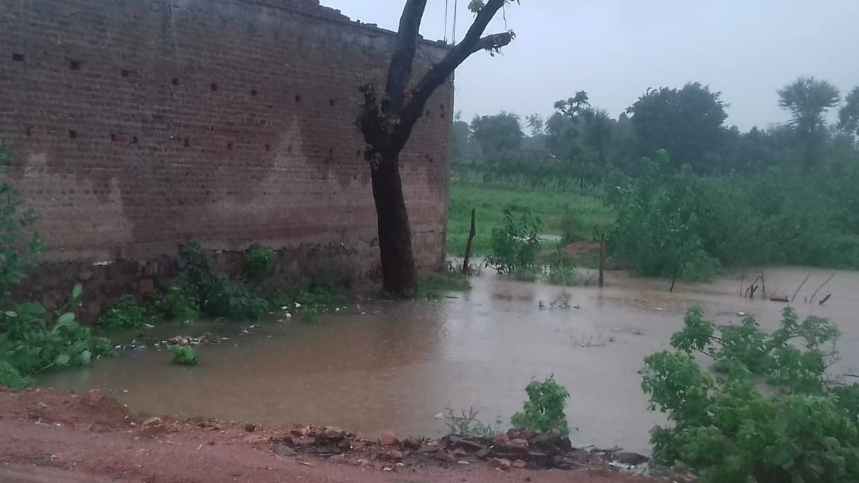 rain crisis, field filled with water