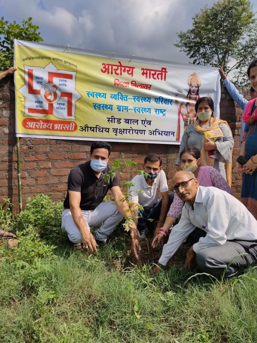 Plantation drive