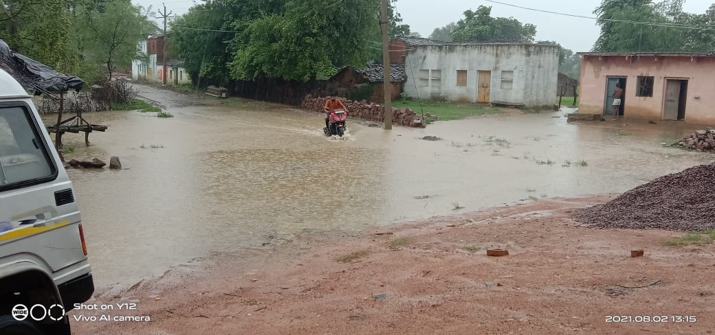 rain, storm destroyed trees and pole, electric power cut