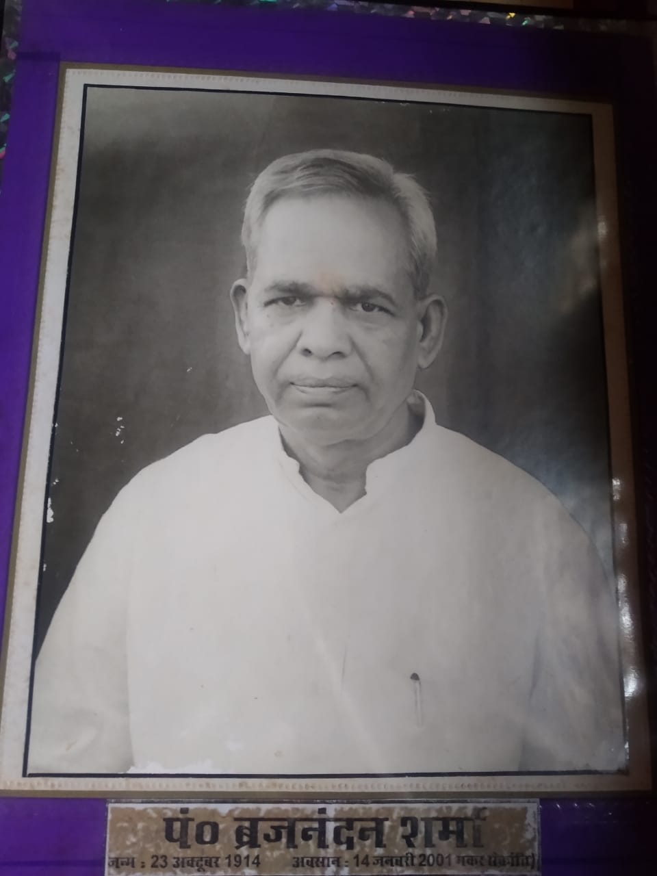 brijnandan sharma, freedom fighter