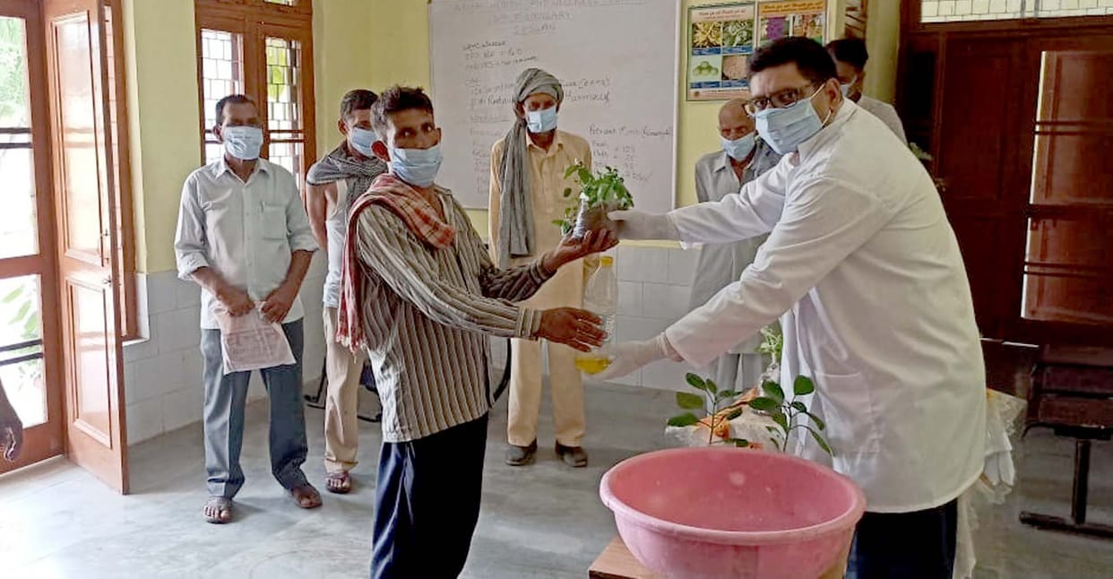 Plantation drive